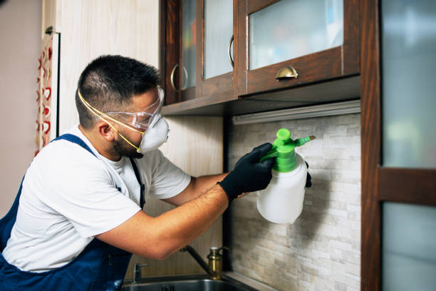 Best Wasp Removal Services  in Tarrant, AL