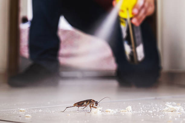 Trusted Tarrant, AL Pest Control Experts