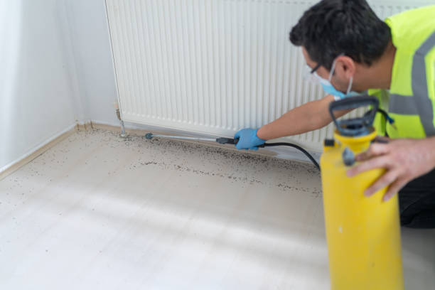 Best Pest Inspection Near Me  in Tarrant, AL