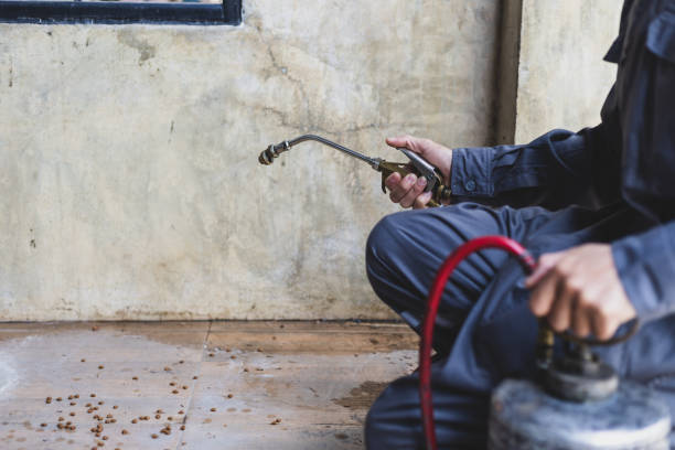 Best Pest Control Treatment  in Tarrant, AL